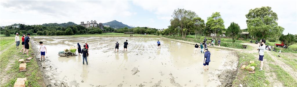 農藝系作物學實習課程-在安康分場