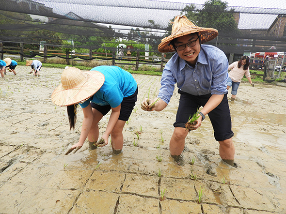 銘傳國小卓家意校長與學生下田體驗插秧