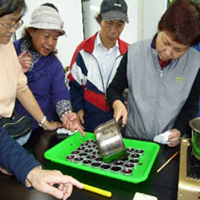 製作保健紫草膏