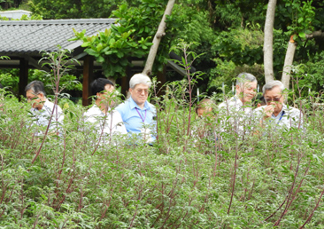 評鑑委員體驗園藝組芳香萬壽香氣