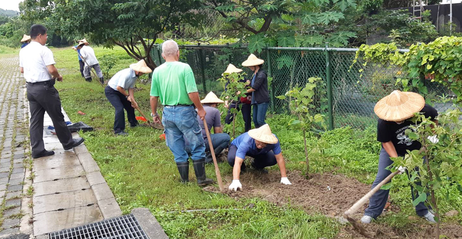 參與同仁努力植樹-用鋤頭翻土或以雙手覆土