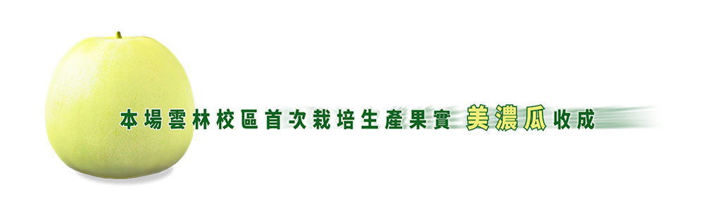 本場於雲林校區首次栽培生產果實「 美濃瓜」收成