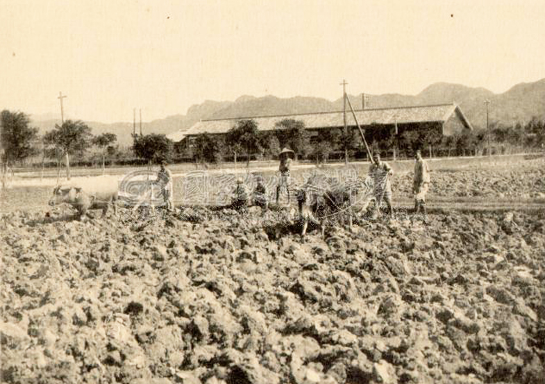 日治時期學生於試驗區水田整地(位置應為現今瑠公圳水源池)