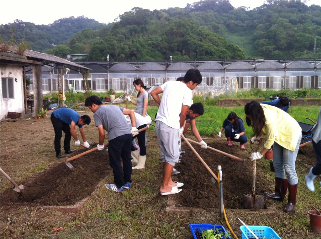 現代農業體驗及田園生活體驗蔬菜組學生田間操作