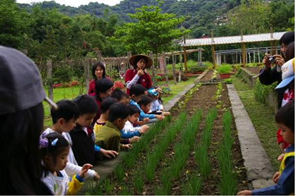 田園香草解說