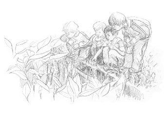 鉛筆素描小學生到臺大農業試驗場參觀的情況圖畫