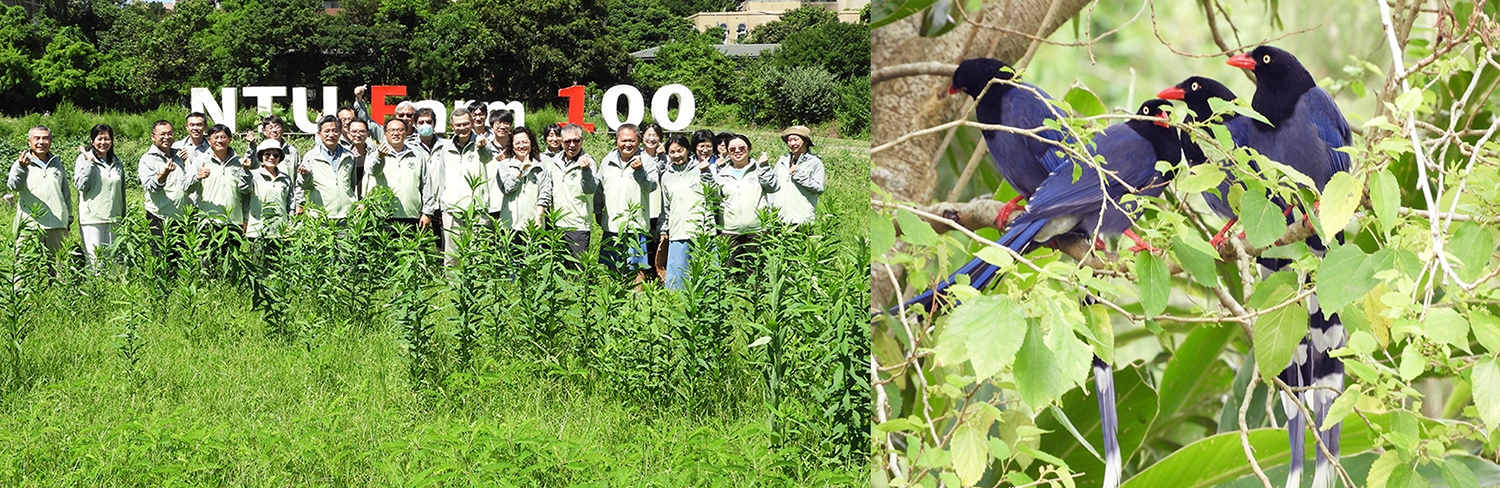 NTU Farm 100